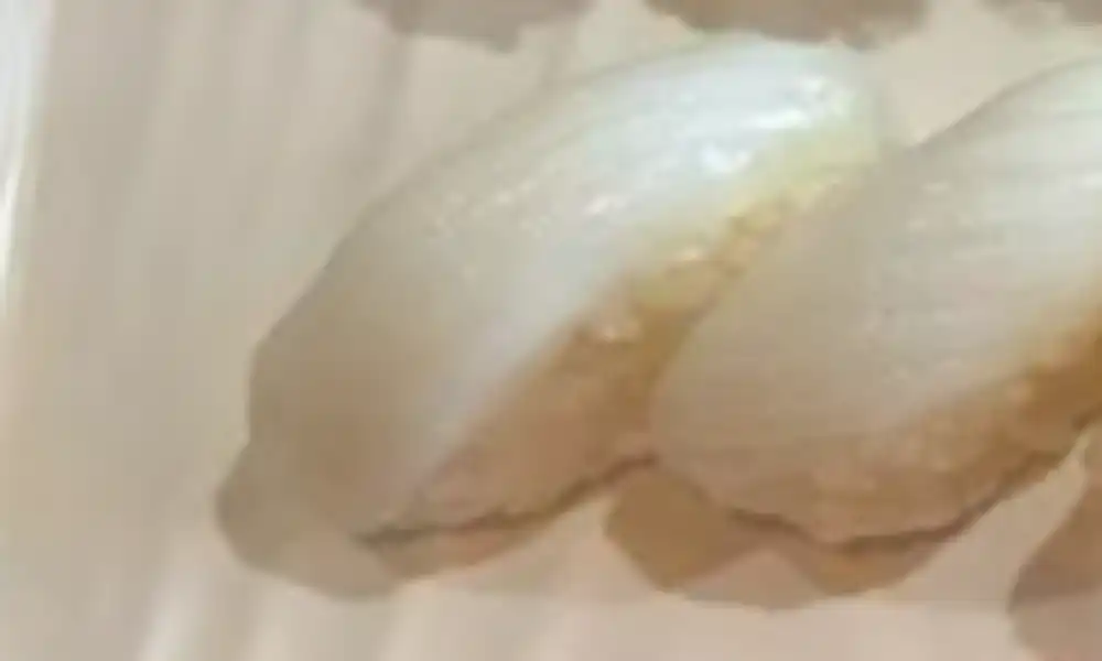 Squid Sushi / Sashimi