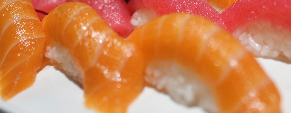 Salmon Sushi / Sashimi